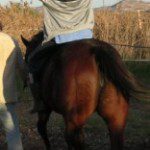 7ª Edición del Postgrado de equitación terapéutica de la Universidad de Vic