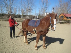 enseñar al caballo la fusta se usa como ayuda y para acariciar cuando ha hecho bién su trabajo.