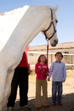 Terapias asistidas con caballos y Equinoterapia