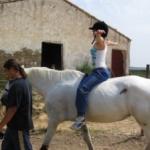 Resultados obtenidos en la aplicación de terapias e intervenciones con caballos